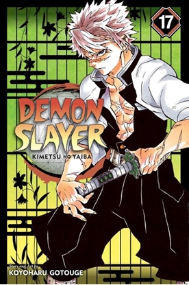 Afbeeldingen van Demon Slayer: Kimetsu no Yaiba Demon Slayer: Kimetsu no Yaiba, Vol. 17