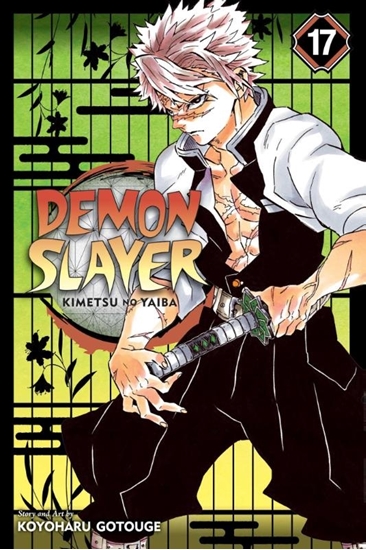 Afbeelding van Demon Slayer: Kimetsu no Yaiba Demon Slayer: Kimetsu no Yaiba, Vol. 17