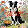 Afbeelding van Avonturen van Border Collie Rex