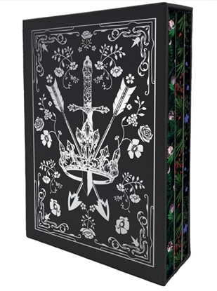 Afbeeldingen van The Powerless Trilogy Lauren Roberts: Powerless Trilogy Notebook Boxed Set (Set of 3)
