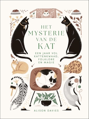 Afbeeldingen van Het mysterie van de kat