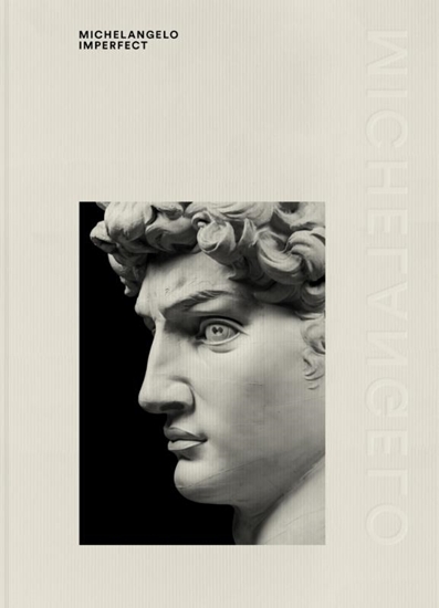Afbeelding van Michelangelo Imperfect