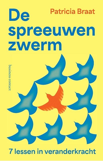 Afbeelding van De spreeuwenzwerm