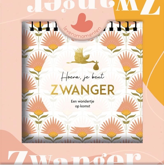 Afbeelding van Levensmomenten - Hoera, je bent zwanger
