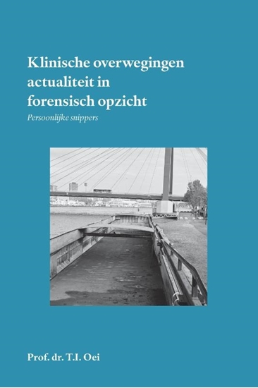 Afbeelding van Klinische overwegingen - actualiteit in forensisch opzicht