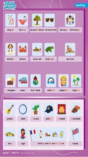 Afbeelding van Taaljacht Groep 7 spelling & grammatica categorieposter