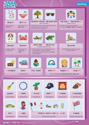Afbeeldingen van Taaljacht Groep 7 spelling & grammatica categoriekaarten en stappenplan (set)