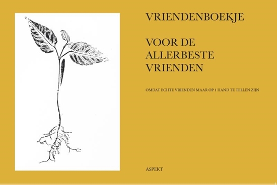 Afbeelding van Vriendenboekje voor de allerbeste vrienden