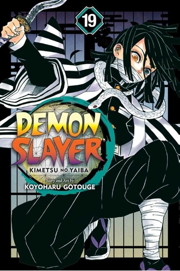 Afbeelding van Demon Slayer: Kimetsu no Yaiba Demon Slayer: Kimetsu no Yaiba, Vol. 19