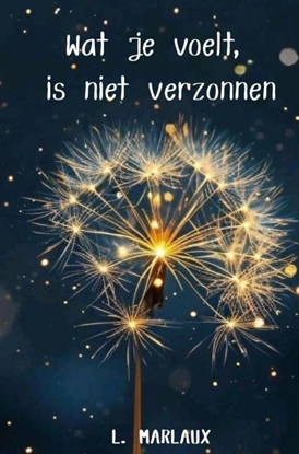 Afbeeldingen van Wat je voelt is niet verzonnen