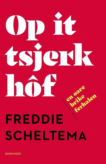 Afbeelding van Op it tsjerkhôf en oare brike ferhalen