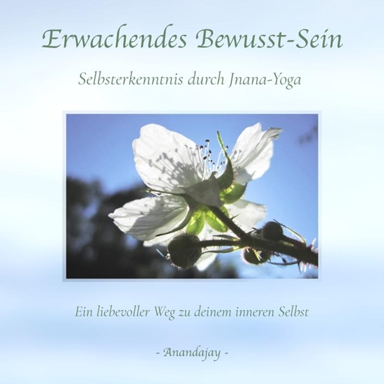 Afbeelding van Erwachendes Bewusst-Sein - Selbsterkenntnis durch Jnana-Yoga