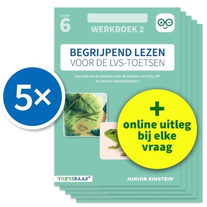 Afbeeldingen van Deel 2 Begrijpend lezen voor de LVS-toetsen - Groep 6 - Werkboek 2 + Online video-uitleg (set van 5)