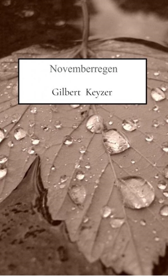 Afbeelding van Novemberregen