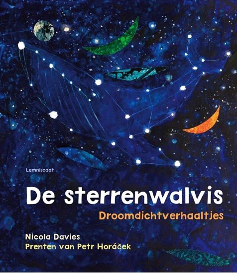 Afbeelding van De sterrenwalvis