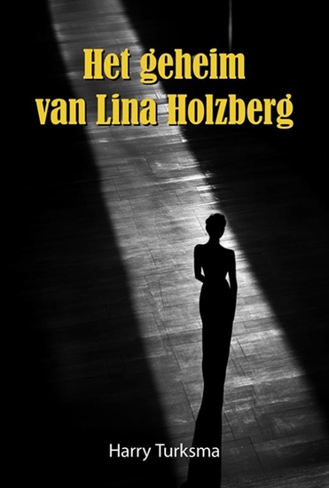Afbeelding van Het geheim van Lina Holzberg