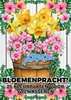 Afbeelding van Bloemenpracht! - 25 Kleurplaten voor Volwassenen