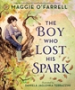 Afbeelding van The Boy Who Lost His Spark