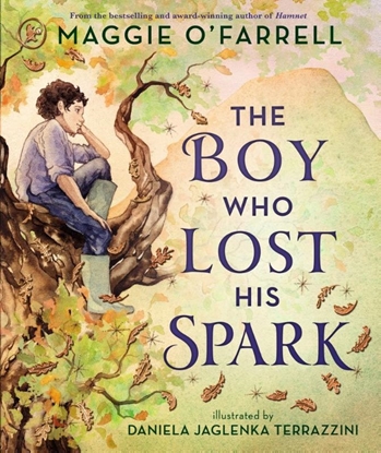 Afbeeldingen van The Boy Who Lost His Spark