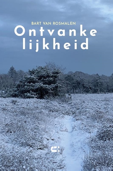 Afbeelding van Ontvankelijkheid