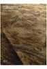 Afbeelding van The File on D. / Dossier D. - Arianne Olthaar