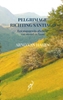 Afbeelding van Pelgrimage richting Santiago