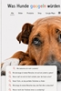 Afbeelding van Was Hunde googeln würden