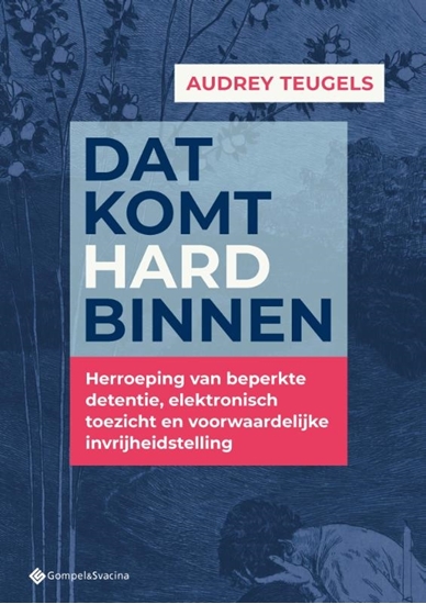 Afbeelding van Dat komt hard binnen