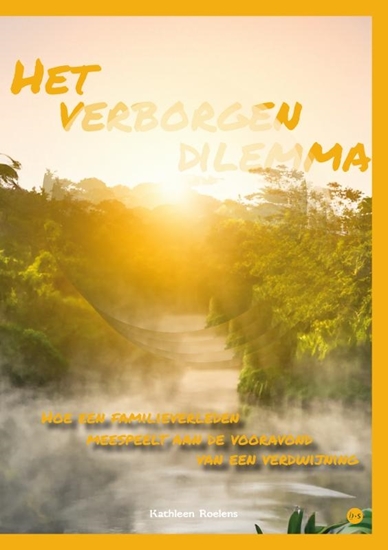 Afbeelding van Het verborgen dilemma