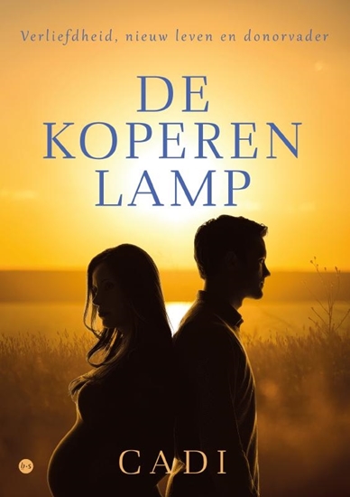 Afbeelding van De koperen lamp
