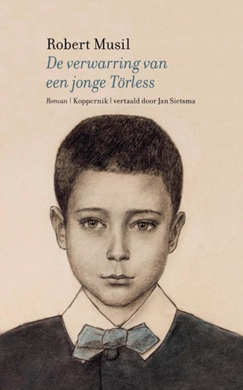 Afbeelding van De verwarring van een jonge Törless