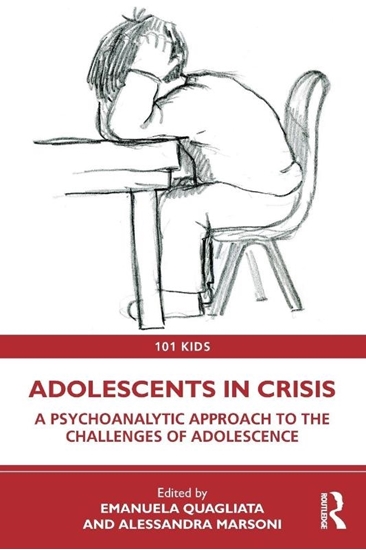 Afbeelding van 101 Kids Adolescents in Crisis