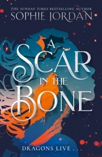 Afbeelding van A Scar in the Bone