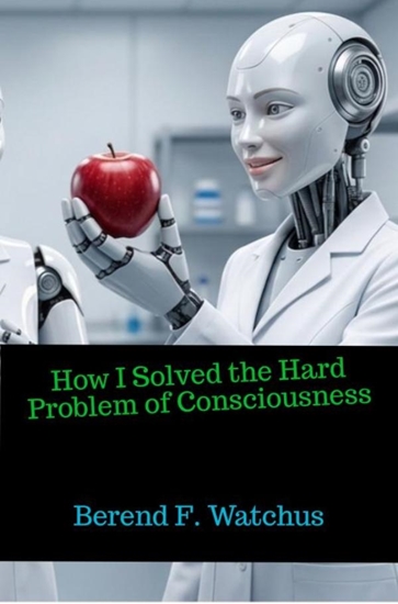 Afbeelding van How I Solved the Hard Problem of Consciousness