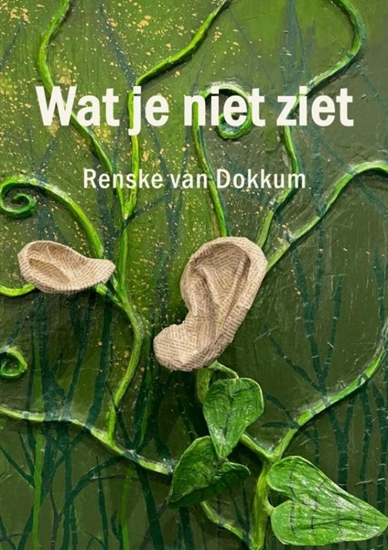 Afbeelding van Wat je niet ziet