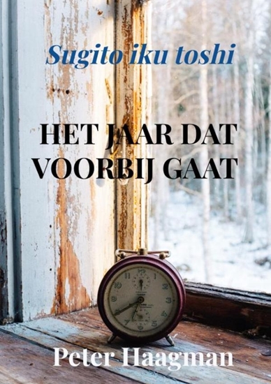 Afbeelding van Het jaar dat voorbij gaat