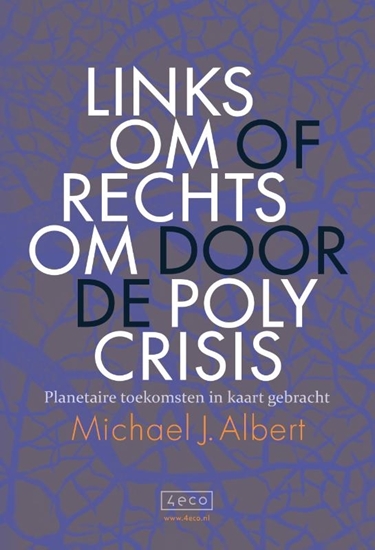 Afbeelding van Linksom of rechtsom door de polycrisis
