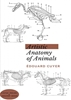 Afbeelding van Artistic Anatomy of Animals