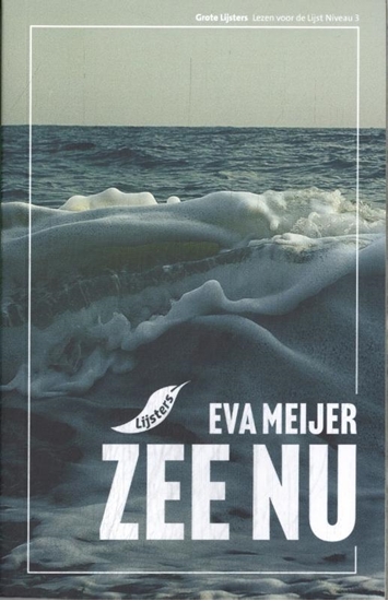 Afbeelding van Grote Lijsters Zee nu