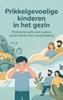 Afbeelding van Prikkelgevoelige kinderen in het gezin