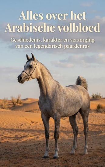 Afbeelding van Alles over het Arabische volbloed