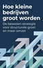Afbeelding van Hoe kleine bedrijven groot worden