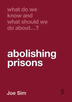 Afbeeldingen van What Do We Know and What Should We Do About: What Do We Know and What Should We Do About Abolishing Prisons?