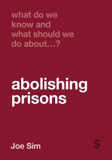 Afbeelding van What Do We Know and What Should We Do About: What Do We Know and What Should We Do About Abolishing Prisons?