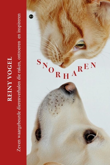 Afbeelding van Snorharen