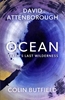 Afbeelding van Ocean