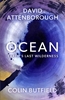Afbeelding van Ocean