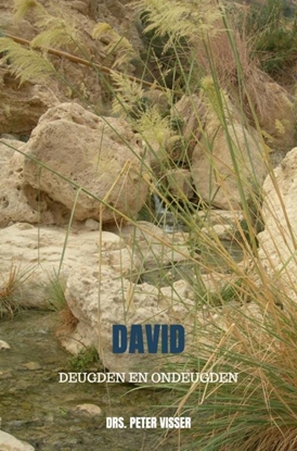 Afbeeldingen van David