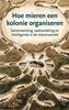 Afbeelding van Hoe mieren een kolonie organiseren