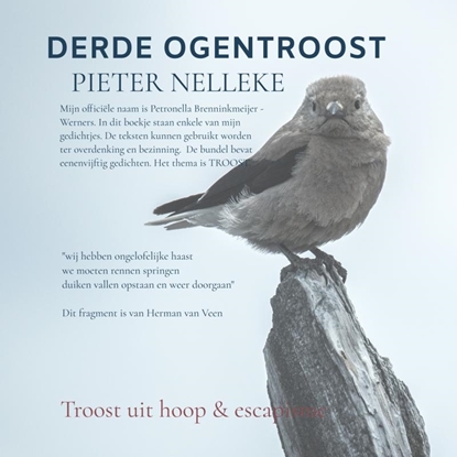 Afbeeldingen van DERDE OGENTROOST